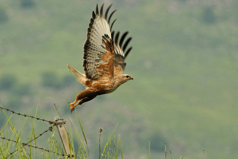 Natural and Urban Environment in Greece