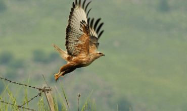 Natural and Urban Environment in Greece